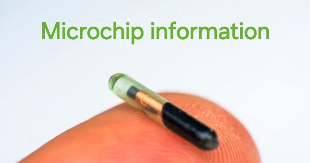 MICROCHIP PICTURE